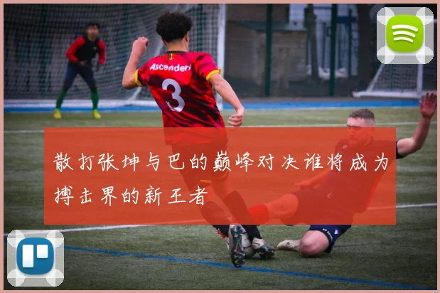 散打张坤与巴的巅峰对决谁将成为搏击界的新王者